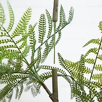 Nearly Natural 5ft. Green Minimalist Jacaranda Artificial Plant