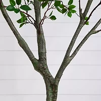 Nearly Natural 10ft. Green Minimalist Citrus Artificial Tree