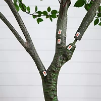 Nearly Natural 10ft. Green Minimalist Citrus Artificial Tree