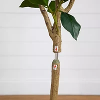 Nearly Natural 5ft. Red Camellia Rose Indoor Artificial Tree