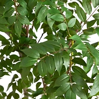 Nearly Natural 8ft. Green Sumac Indoor Artificial Tree