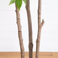 Nearly Natural 8ft. Green Sumac Indoor Artificial Tree