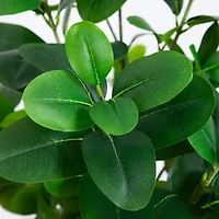 Nearly Natural 6ft. Green Audrey Ficus Artificial Tree