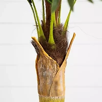 Nearly Natural 4ft. Green Coconut Palm Artificial Tree