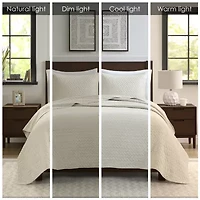 Madison Park Velvet Touch 3-pc. Coverlet Set