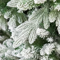 Northlight Real Touch™️Mountain Pearl Unlit 6 1/2 Foot Flocked Christmas Tree