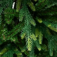 Northlight Real Touch™️ Two-Tone River Deer Pine Full Unlit 6 1/2 Foot Pine Christmas Tree