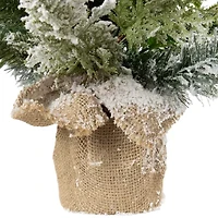 Northlight Flocked Balsam Pine Artificial In Burlap Base Unlit 2 Foot Flocked Pine Christmas Tree
