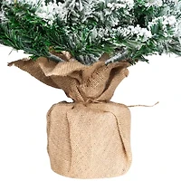 Northlight 3ft Frosted Pine Artificial In Burlap Base 3 Foot Pine Christmas Tree