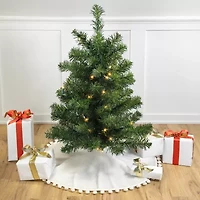 Northlight Pre-Lit Full Canadian Pine Clear Lights 3 Foot Pine Christmas Tree