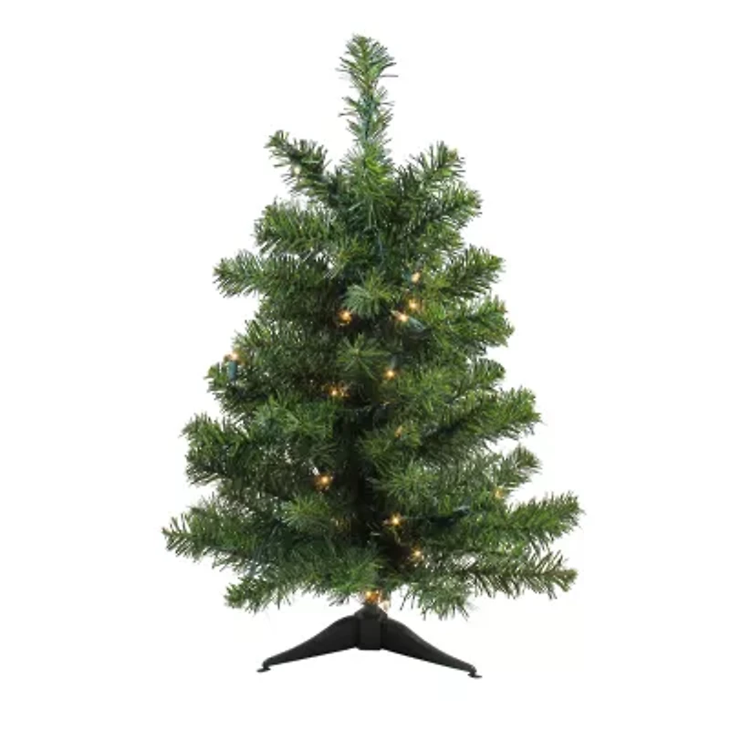 Northlight Pre-Lit Full Canadian Pine Clear Lights 3 Foot Pine Christmas Tree