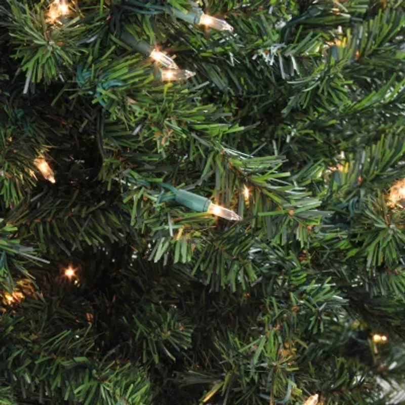 Northlight Pre-Lit Full Canadian Pine Clear Lights 3 Foot Pine Christmas Tree