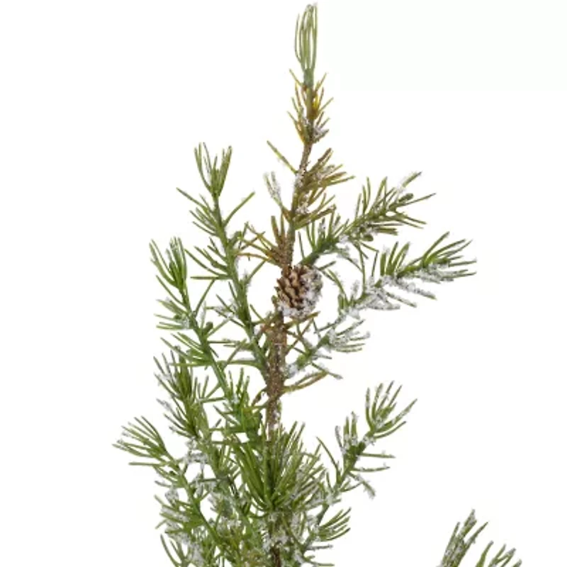 Northlight Potted Frosted Pine Unlit 2 Foot Pine Christmas Tree