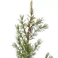 Northlight Potted Frosted Pine Unlit 2 Foot Pine Christmas Tree