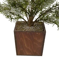 Northlight Potted Frosted Pine Unlit 2 Foot Pine Christmas Tree