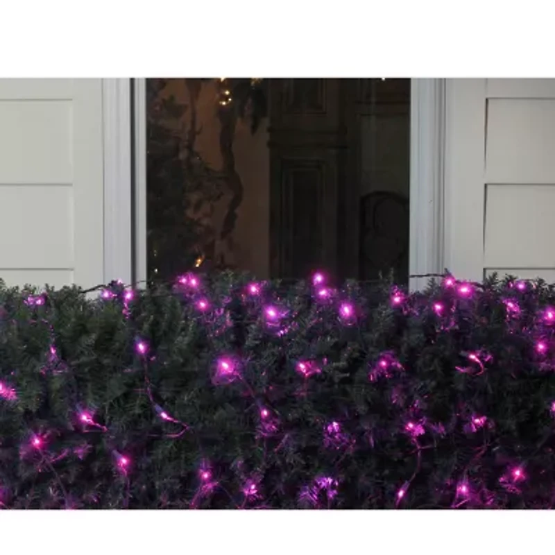 Northlight 4ft X 6ft Raspberry Pink Led Wide Angle - Green Wire Net Lights