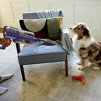 Shark Power Detect Corded Stick Vacuum