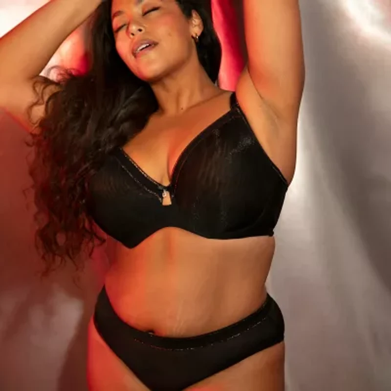 Curvy Couture Shimmer Mesh High Cut Brief- 1386