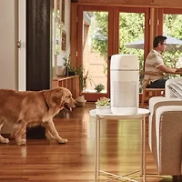 HoMedics 360 Hepa Medium Room Air Purifier