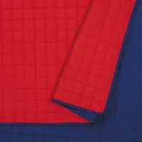 Urban Playground Ayer Plaid Quilt Set