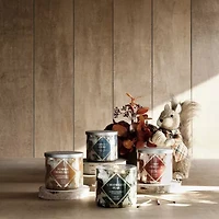 Distant Lands 14 Oz Caramelized Pear 3-Wick Scented Jar Candle