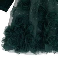 Rare Editions Baby Girls Long Sleeve A-Line Dress
