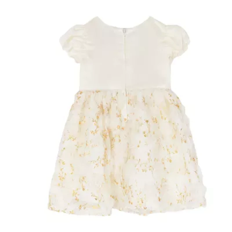 Rare Editions Toddler Girls Short Sleeve Cap Satin A-Line Dress