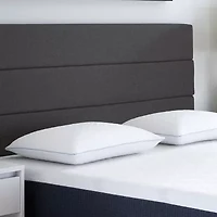 Comfort Tech Tranquility Traditional Pillow