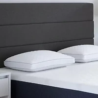 Carpenter Memory Foam Medium/Firm Bed Pillow