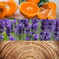 Calvin Klein Obsession For Men Eau De Toilette, 4 Oz