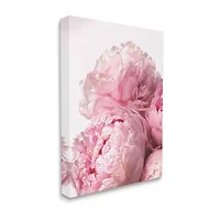 Stupell Industries Blush Pink Peony Florals Canvas Art
