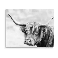 Stupell Industries Bold Country Cattle Photography Canvas Art