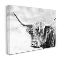 Stupell Industries Bold Country Cattle Photography Canvas Art