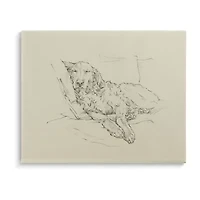 Stupell Industries Fluffy Retriever Dog Sketch Canvas Art