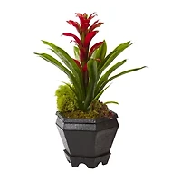 Nearly Natural Red Bromeliad In Black Hexagon Planter Artificial Plant