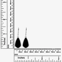 Silver Treasures Genuine Stone Womens Black Onyx Sterling Silver Drop Earrings
