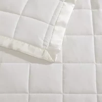 Down Alternative Beatrice Home Fashions Blankets