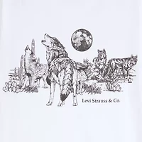 Levi's® Mens Crew Neck Short Sleeve Regular Fit Graphic T-Shirt