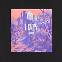 Levi's® Mens Crew Neck Short Sleeve Relaxed Fit Graphic T-Shirt