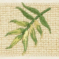 Linum Home Textiles Zoe Embellished 3-pc. Bath Towel Set