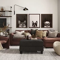 Furniture Of America Colby Storage Ottoman