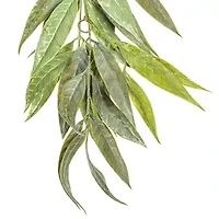 Vickerman 6' Green Muddy White Willow Garland X 30