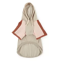 Paw & Tail Orange Dog Hoodie