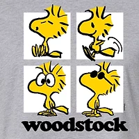 Woodstock Cropped Tee Womens Juniors Crew Neck Long Sleeve Regular Fit Peanuts Graphic T-Shirt