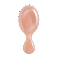 The Wet Brush Iridescence Og + Mini Duo