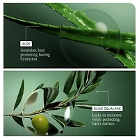 Biolage Hydra Source 2-pc. Gift Set