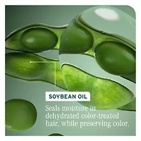 Biolage Color Last Refill Conditioner 16.9 oz.