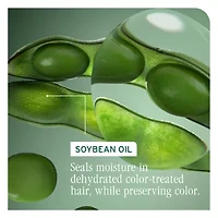 Biolage Color Last Refill Shampoo 16.9 oz.