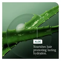 Biolage Hydrasource Refill Shampoo 16.9 oz.