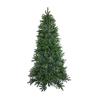 Northlight Medium Neola Fraser Artificial Dual Led Lights 6 1/2 Foot Pre-Lit Fir Christmas Tree